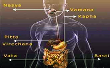 treatment as per dosha ancient diabetes reversal