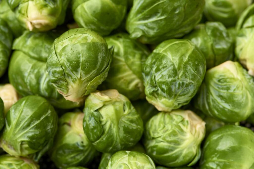 brussel sprout seeds ancient diabetes reversal