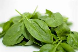 spinach ancient diabetes reversal